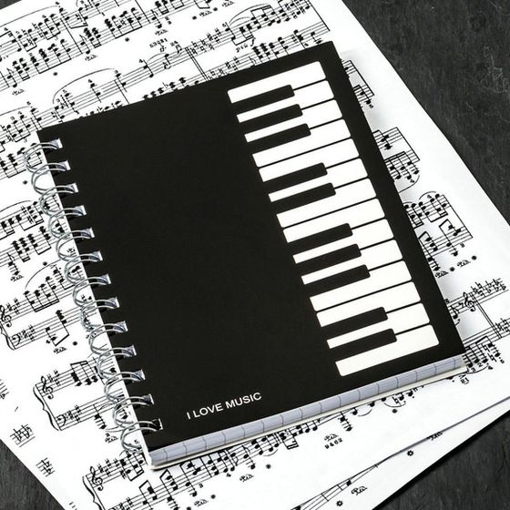 Glazbena bilježnica I love music