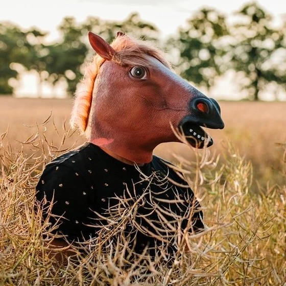 Maska konj