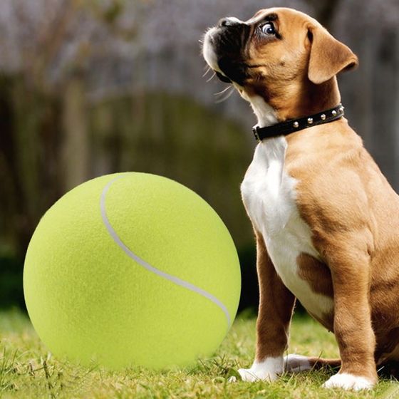 Velika teniska lopta za pse