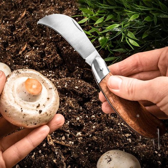 Vrtni nož za gljive
